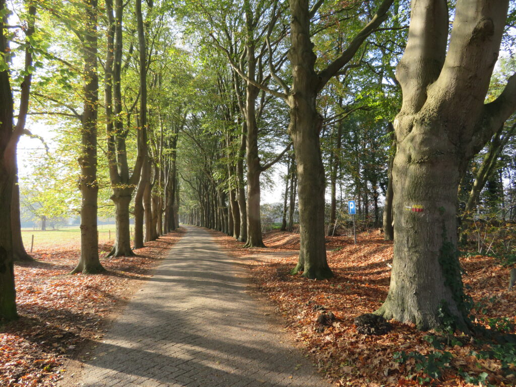 Dag van het Brabants Vennenpad 2024