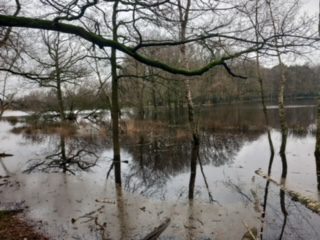 Wateroverlast op het Brabants Vennenpad